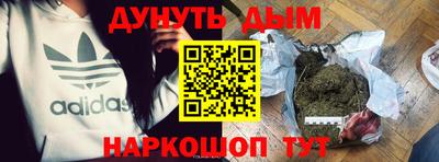 шишки Будённовск