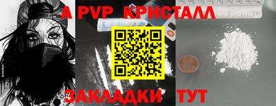 шишки Будённовск