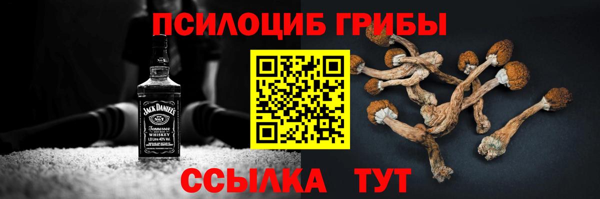 Красноуфимск  Галлюциногенные грибы GOLDEN TEACHER  Вход с VPN 